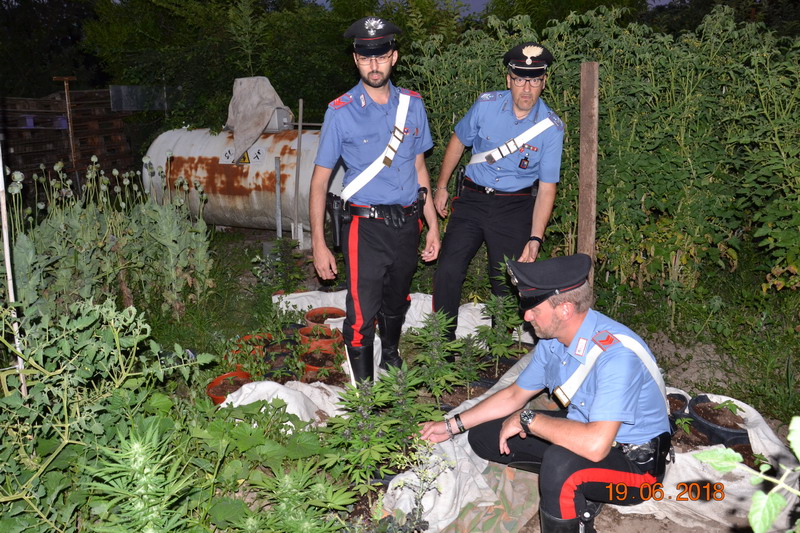Carabinieri oppio Carabinieri oppio