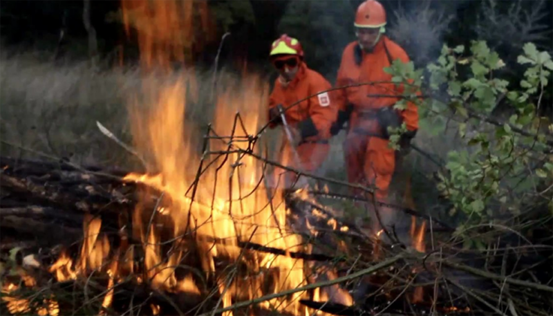 Incendi boschivi prevenzione RFID Incendi boschivi prevenzione RFID