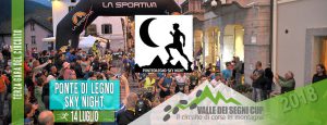 pontedilegno sky night