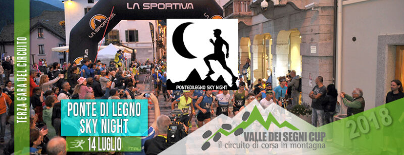 pontedilegno sky night