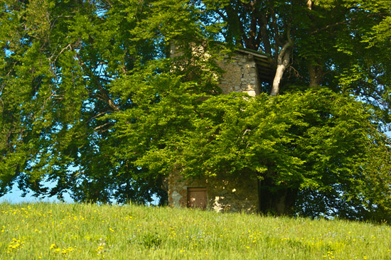 roccolo miragolo san marco1 1 roccolo miragolo san marco1 1