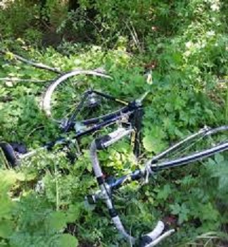 ciclista bosco morto ciclista bosco morto