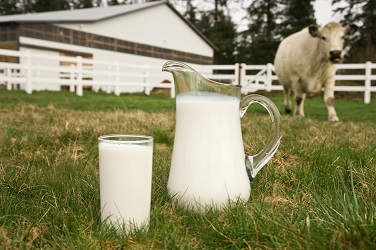 latte fiducia agricoltori