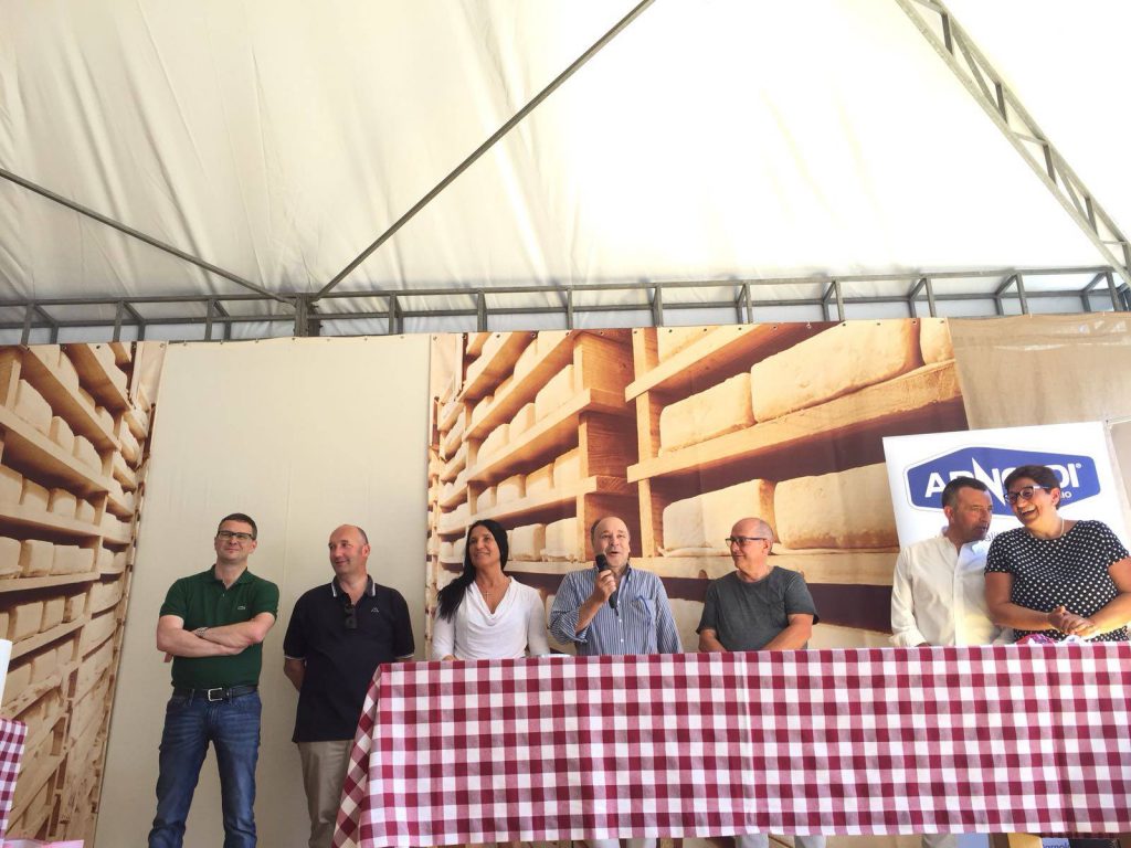 taleggio xxxx taleggio xxxx