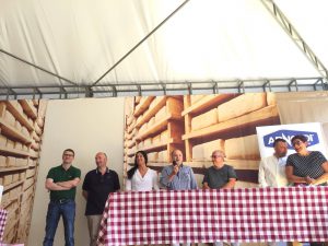 taleggio xxxx