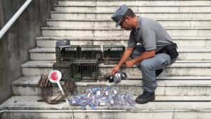 Carabinieri forestali avifauna