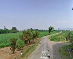 Chiari Bosco levato