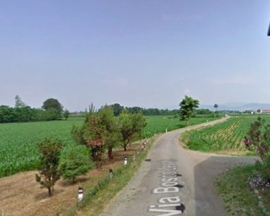 Chiari Bosco levato