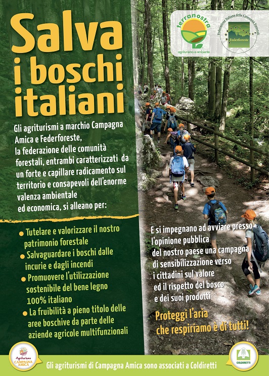 Flyer Salva Boschi Flyer Salva Boschi