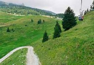 Polzone