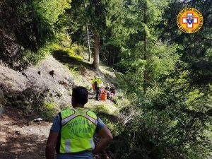 cercatrice funghi soccorso alpino