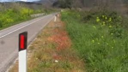 diserbanti diserbanti