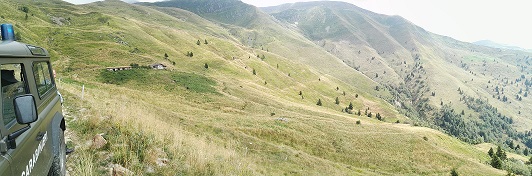 Algeggi fo9restale 1 Algeggi fo9restale 1