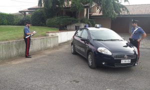 CC Calcinato.jpg