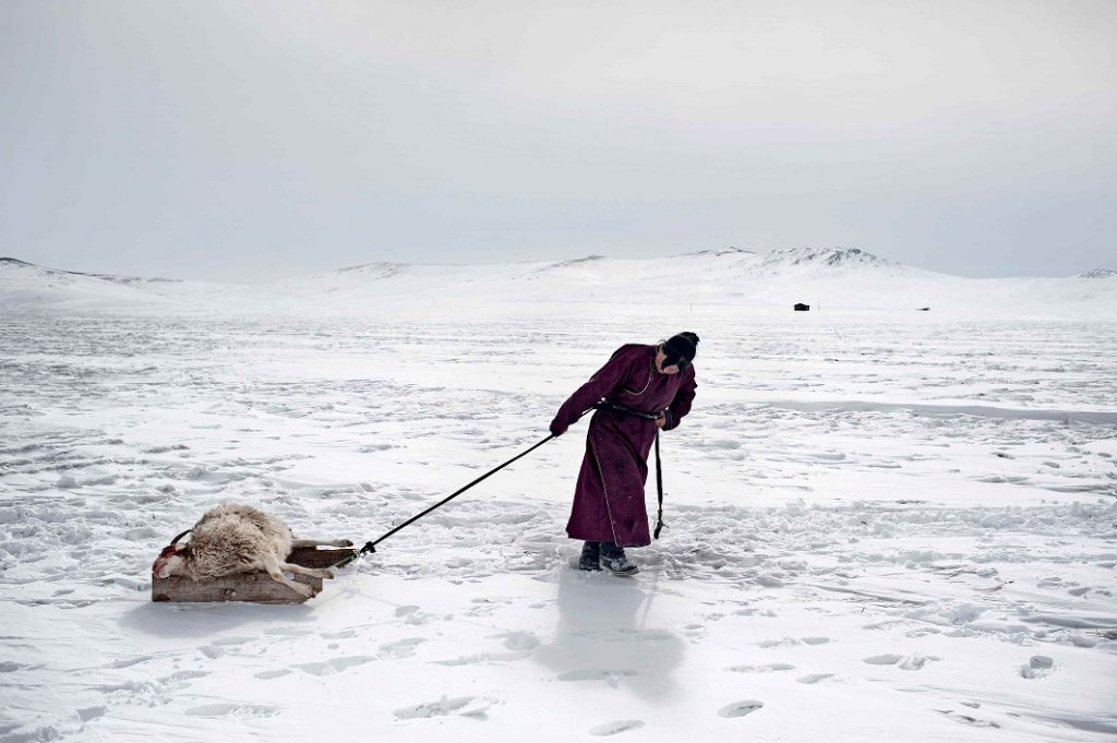 Mongolia Alessandro Grassani Fotografica2018