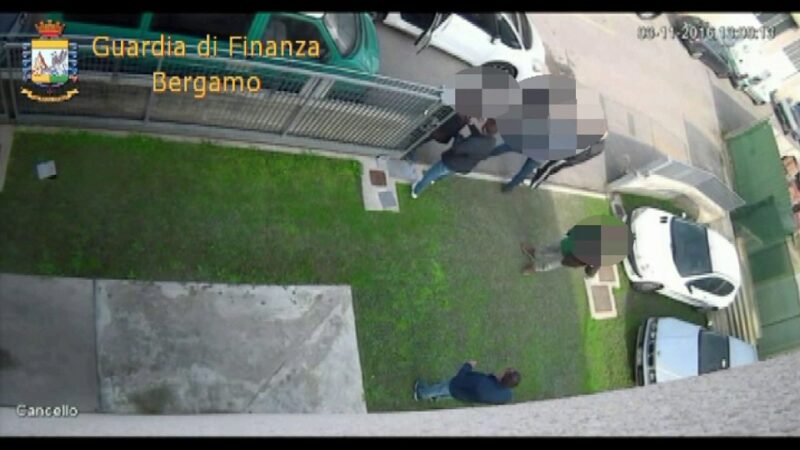 organizzazione criminale organizzazione criminale