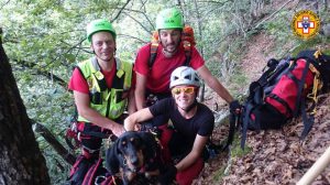 salvati cani da caccia