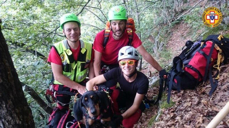 salvati cani da caccia salvati cani da caccia