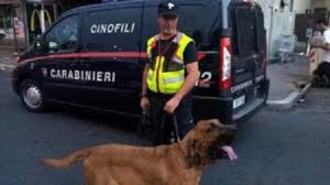 Carabinieri cin ofilis cuole
