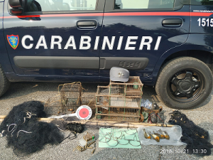 Carabinieri forestali.png