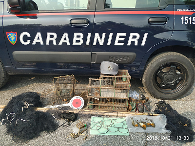 Carabinieri forestali Carabinieri forestali.png