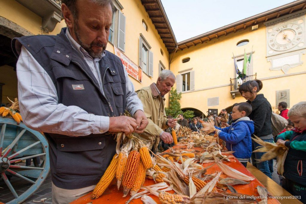 Mais Spinato di Gandino 21 Mais Spinato di Gandino 21