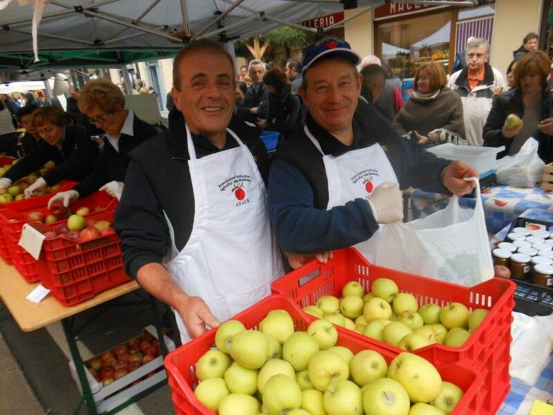 Sagra Mela Sagra Mela