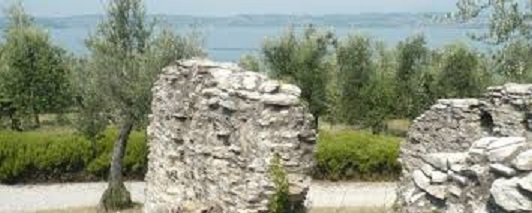 Olivi.jpg