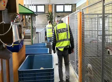 Polizia banda cuccioli.jpg