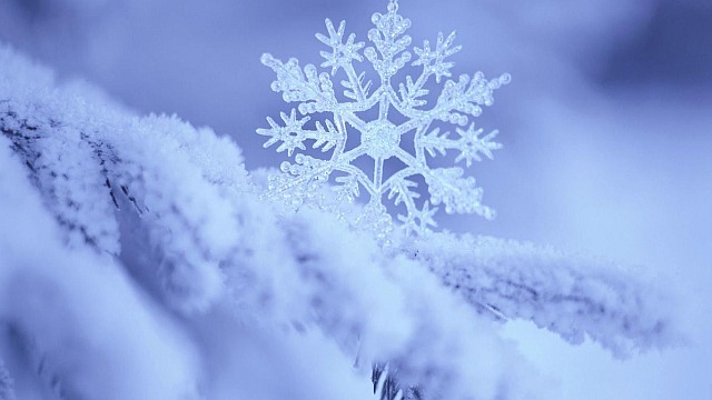 fiocco neve