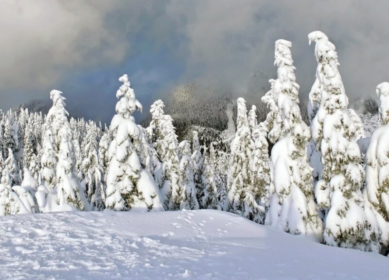 115218 nevicata 115218 nevicata