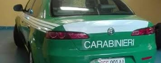 CC forestali autyo.jpg