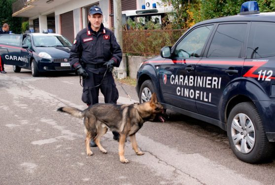 Carabinieri cani antidroga