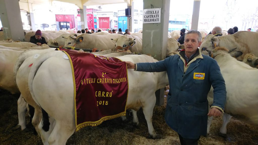 bue grasso carrù