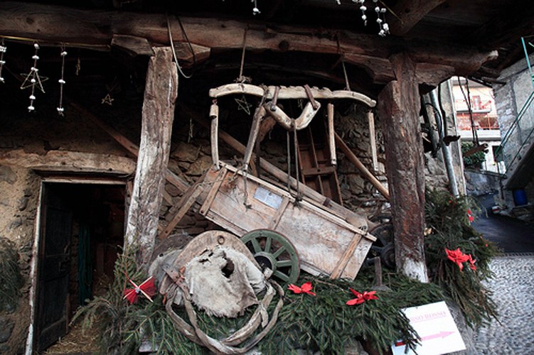 natale Berzo demo