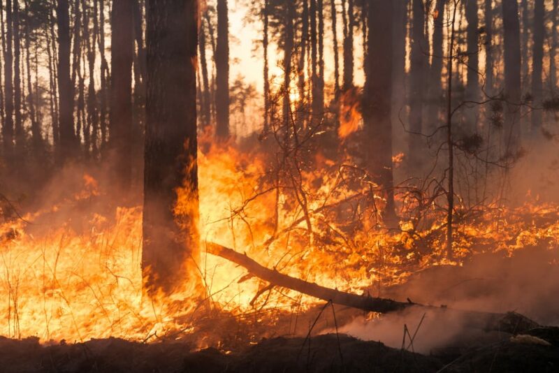 codice arancione incendio boschivo