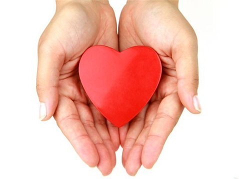 concorso cuore doro avis