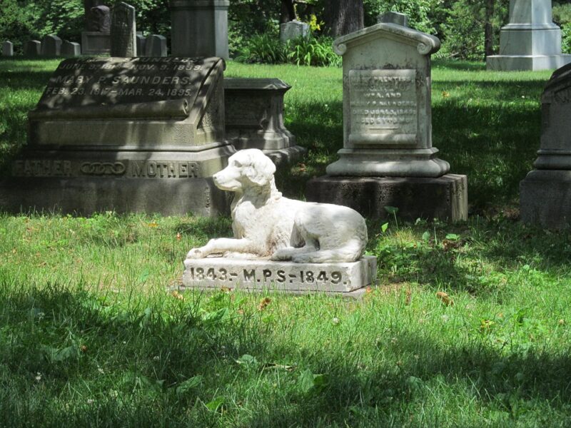 graveyard 438548 960 720 graveyard 438548 960 720