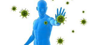 il sistema immunitario