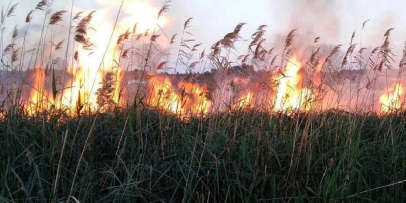 incendio canneto maganuco 410