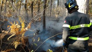 incendio bosco borgomanero 1 2