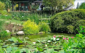 orto botanico bergamo