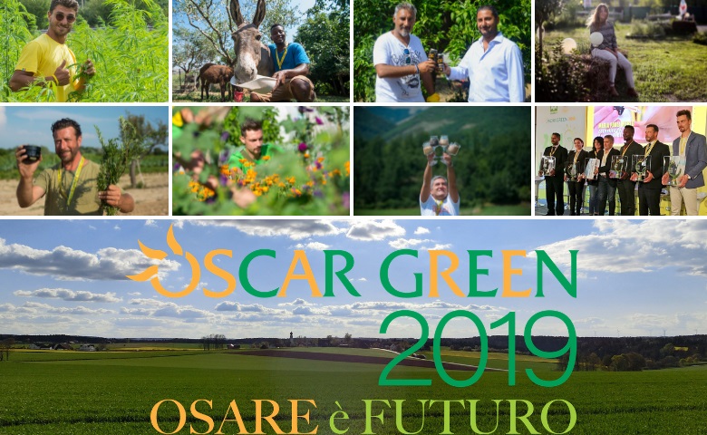 oscar green 2019