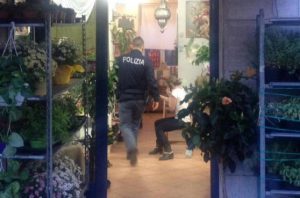 rapinatore negozio fiori