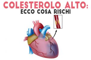 il colesterolo