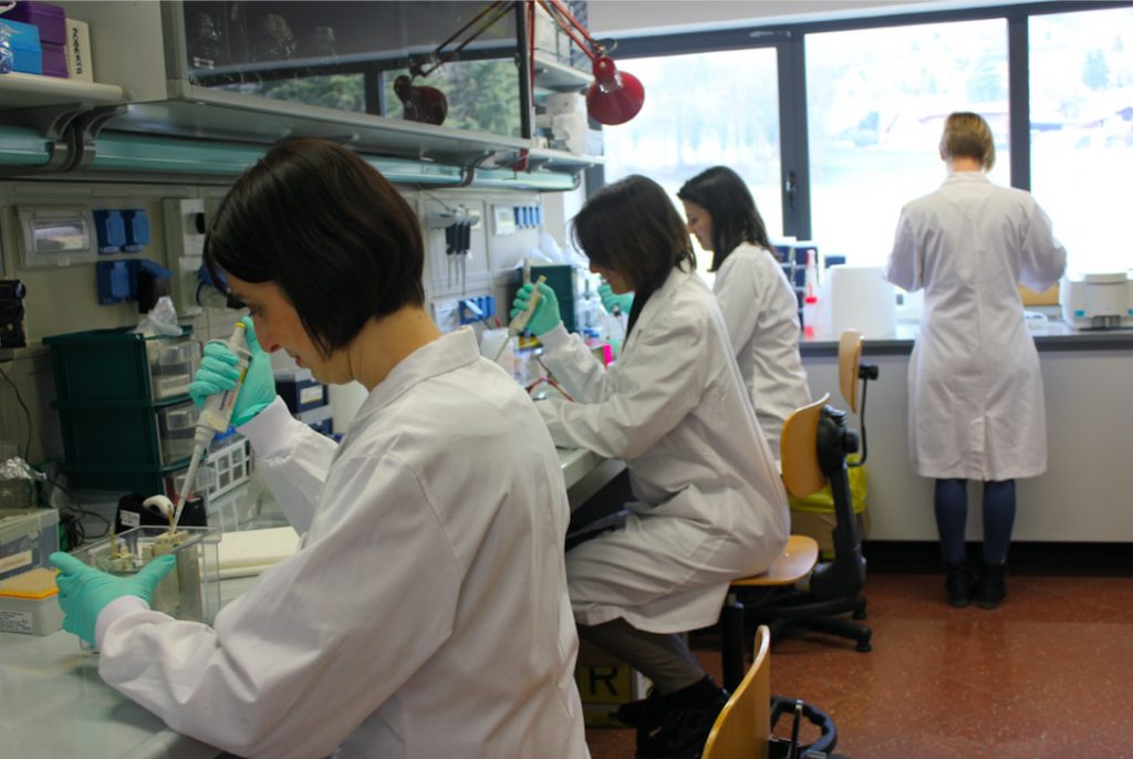 laboratorio Mario Negri