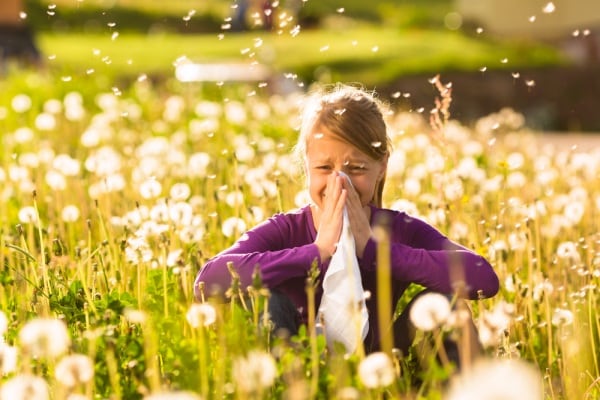 le allergie respiratorie