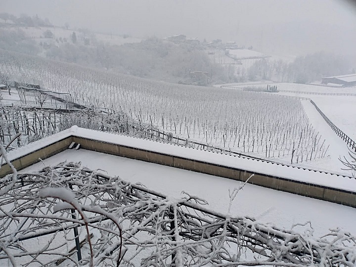 neve bergamo e brescia neve bergamo e brescia