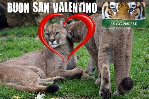 parco faunistico cornelle san valentino
