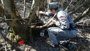 CC Forestali incendi.jpg